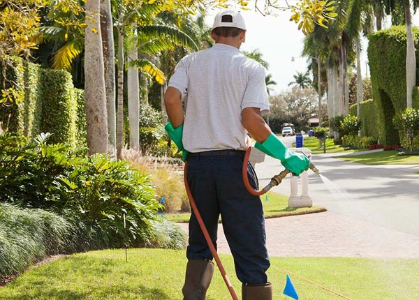 About Barnesville PA Pest Control